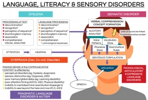 Language, Literacy & Sensory Disorders